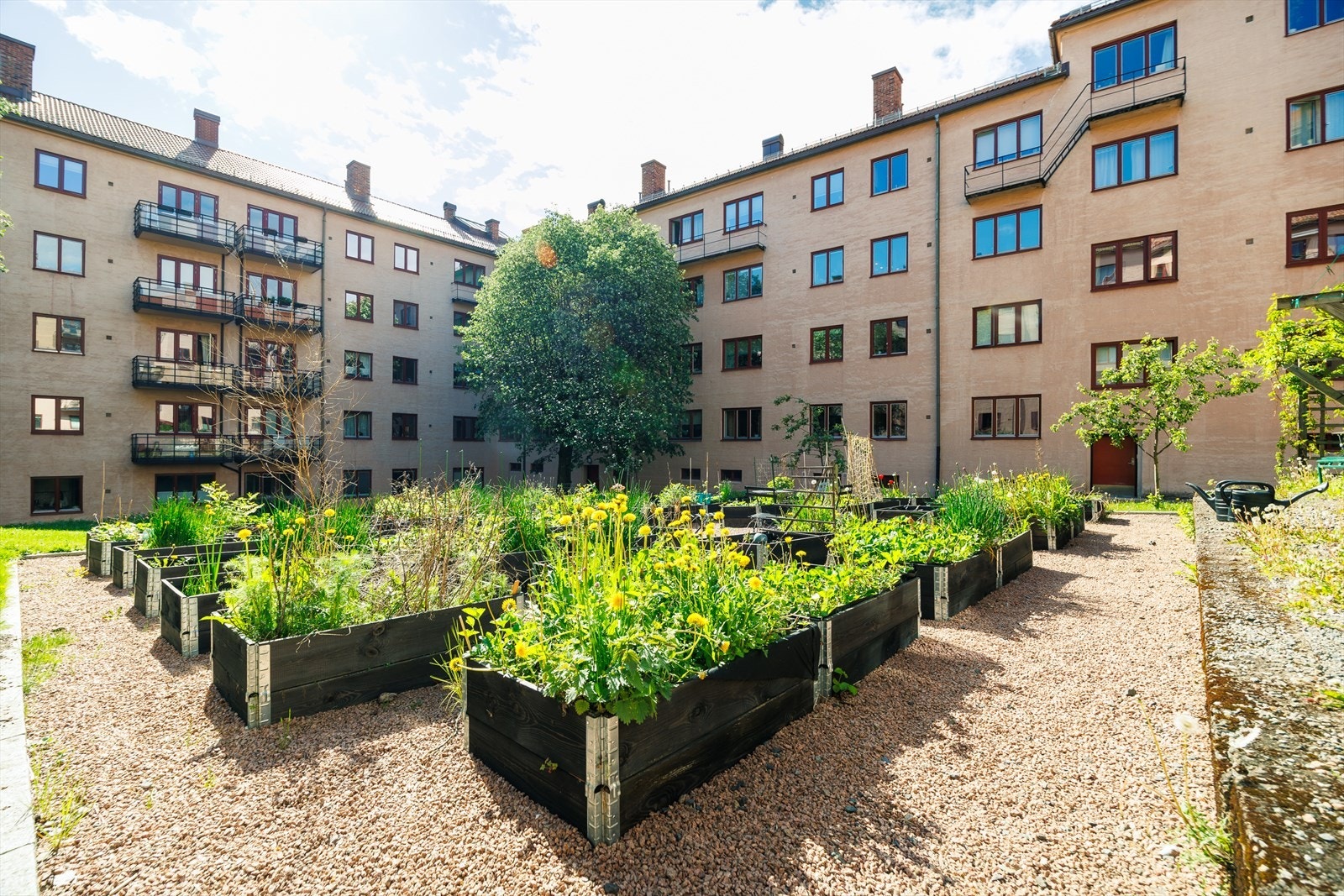 Den tredje bakgården byr på dyrkemuligheter, hvor beboere kan søke om egen parsellkasse for planting og beplantning Galleribilde