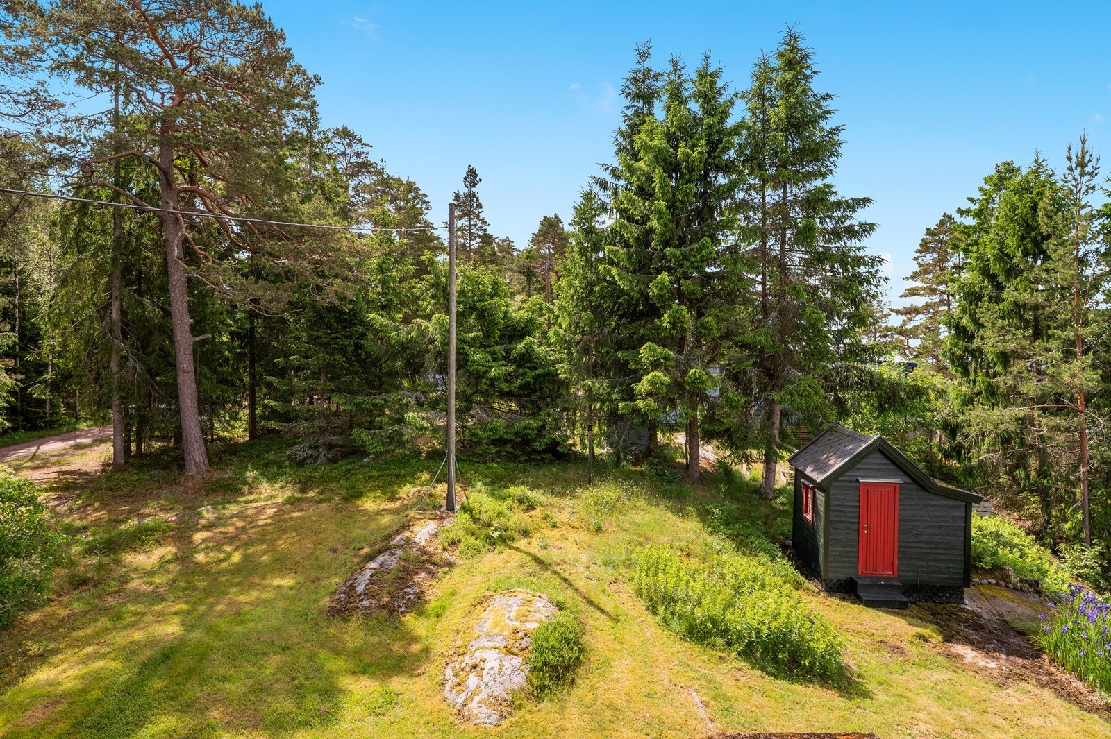 Uteområdet er omgitt av skog og natur. Galleribilde