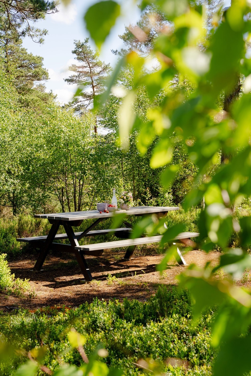 I hagen er det god plass for sosiale sammenkomster. Galleribilde