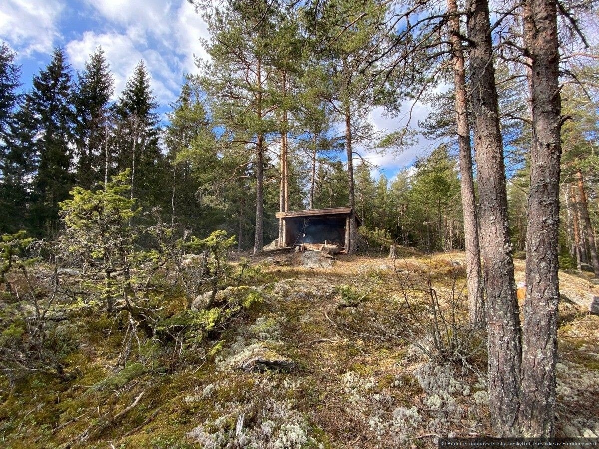 I ytterkant av tomten er det en gapahuk - et lett tilgjengelig utfluktsmål gjennom året. Galleribilde