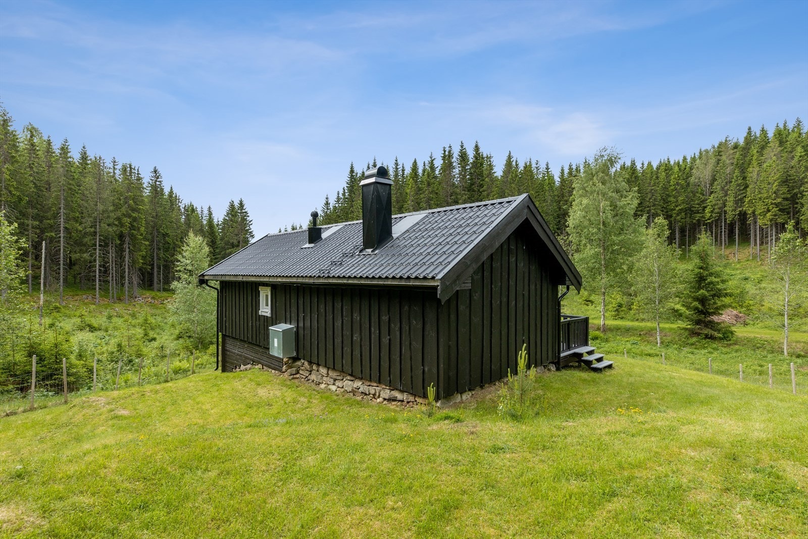 Og det beste av alt - det er skog så langt øye kan se! Galleribilde