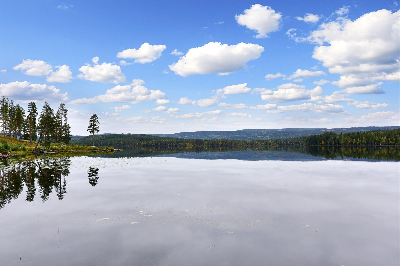 Harestuvannet byr på flotte rekreasjonsmuligheter, med en ny, universelt utformet tursti med grillplass. Galleribilde