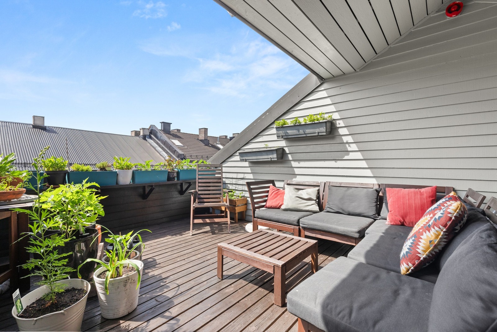 Felles takterrasse Galleribilde