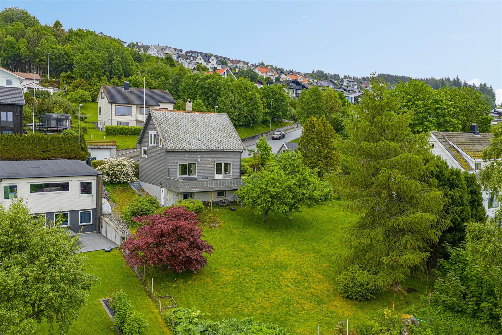 Velkommen til Prost Ankers gate 18! Galleribilde