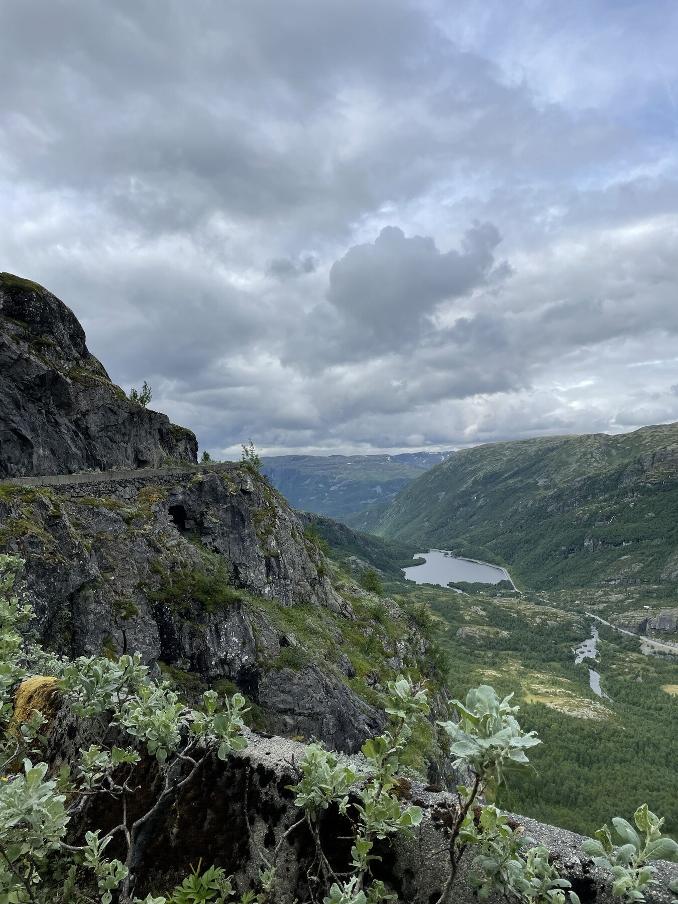 Bilde fra selgers arkiv. Galleribilde
