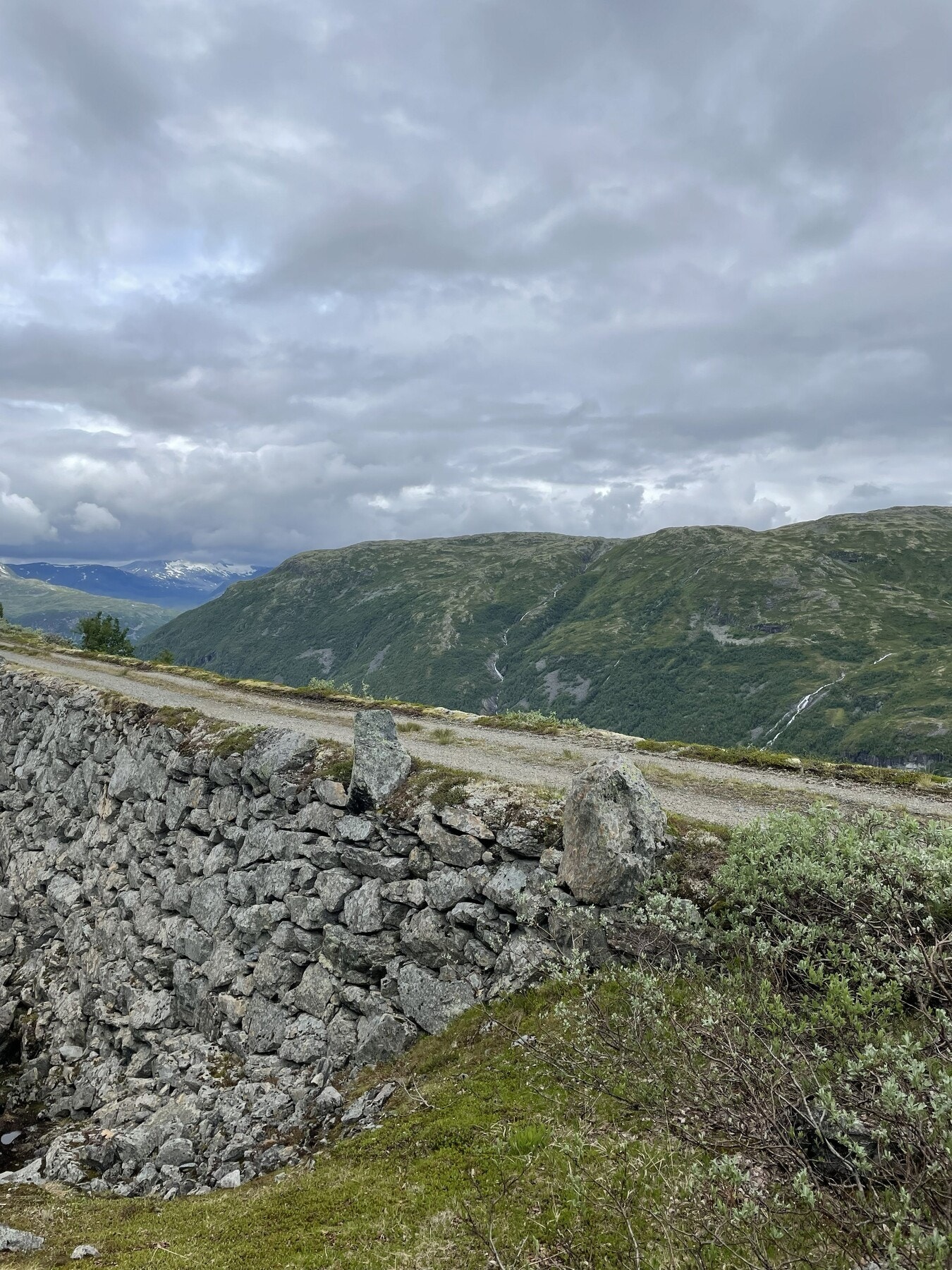 Bilde fra selgers arkiv. Galleribilde