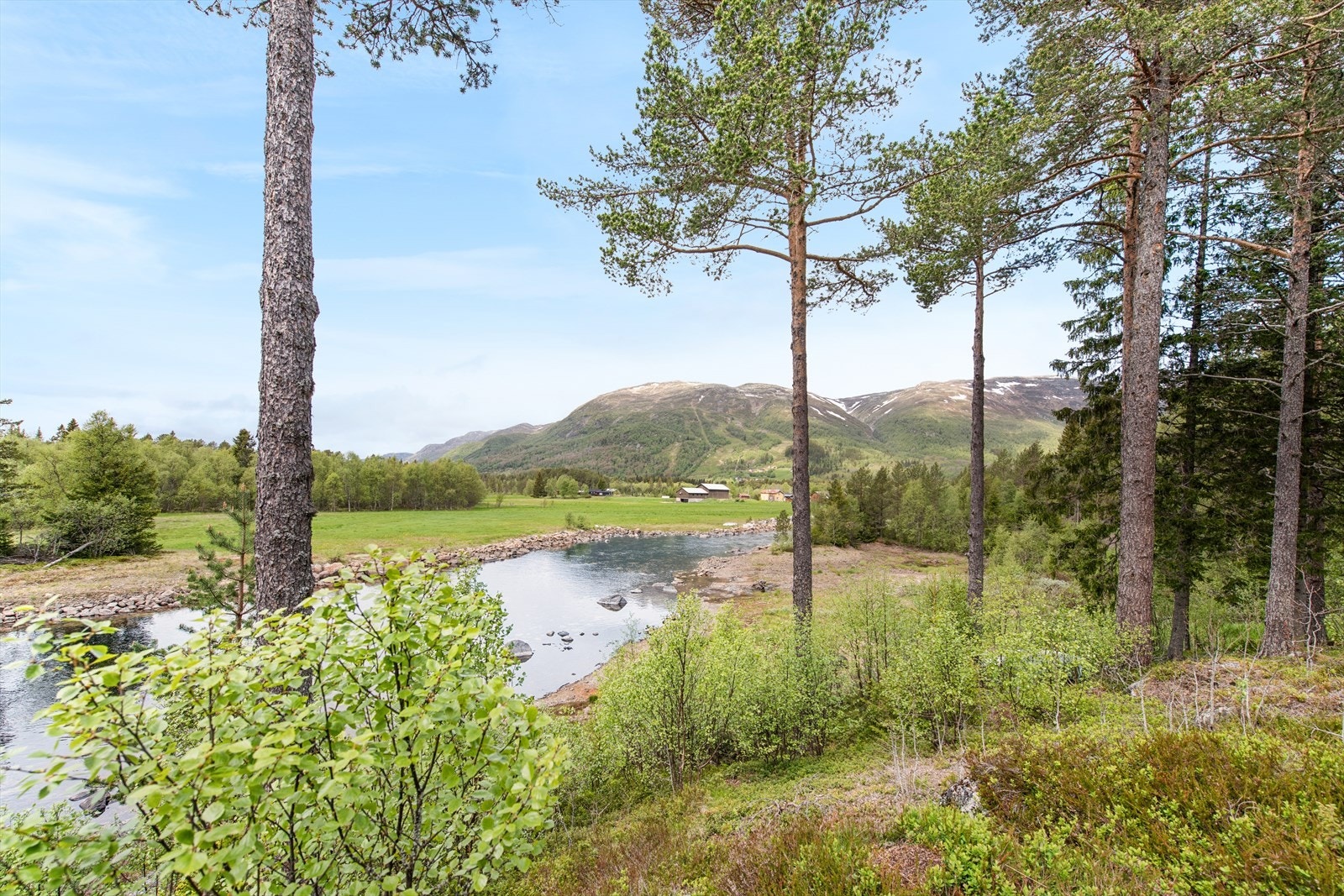 Her kan du nyte nærheten til naturen med flotte turmuligheter og fiske fra egen eiendom. Galleribilde