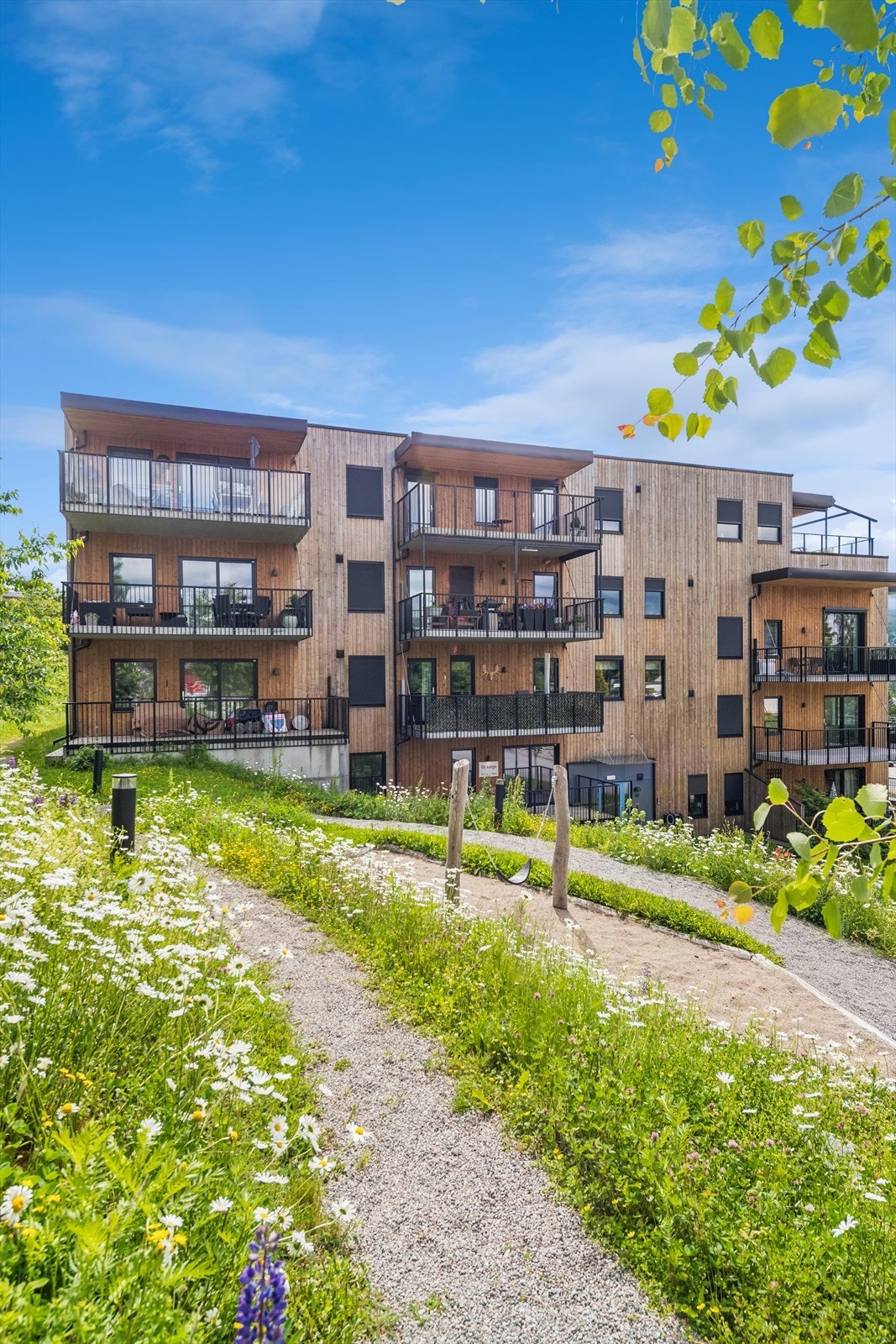Velkommen til en hyggelig visning! Galleribilde