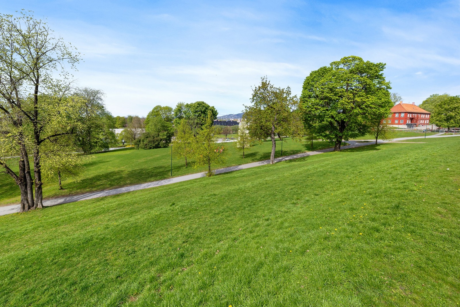 Nyt store grøntområder, vakker natur og gode muligheter for aktivitet i Tøyenparken. Galleribilde