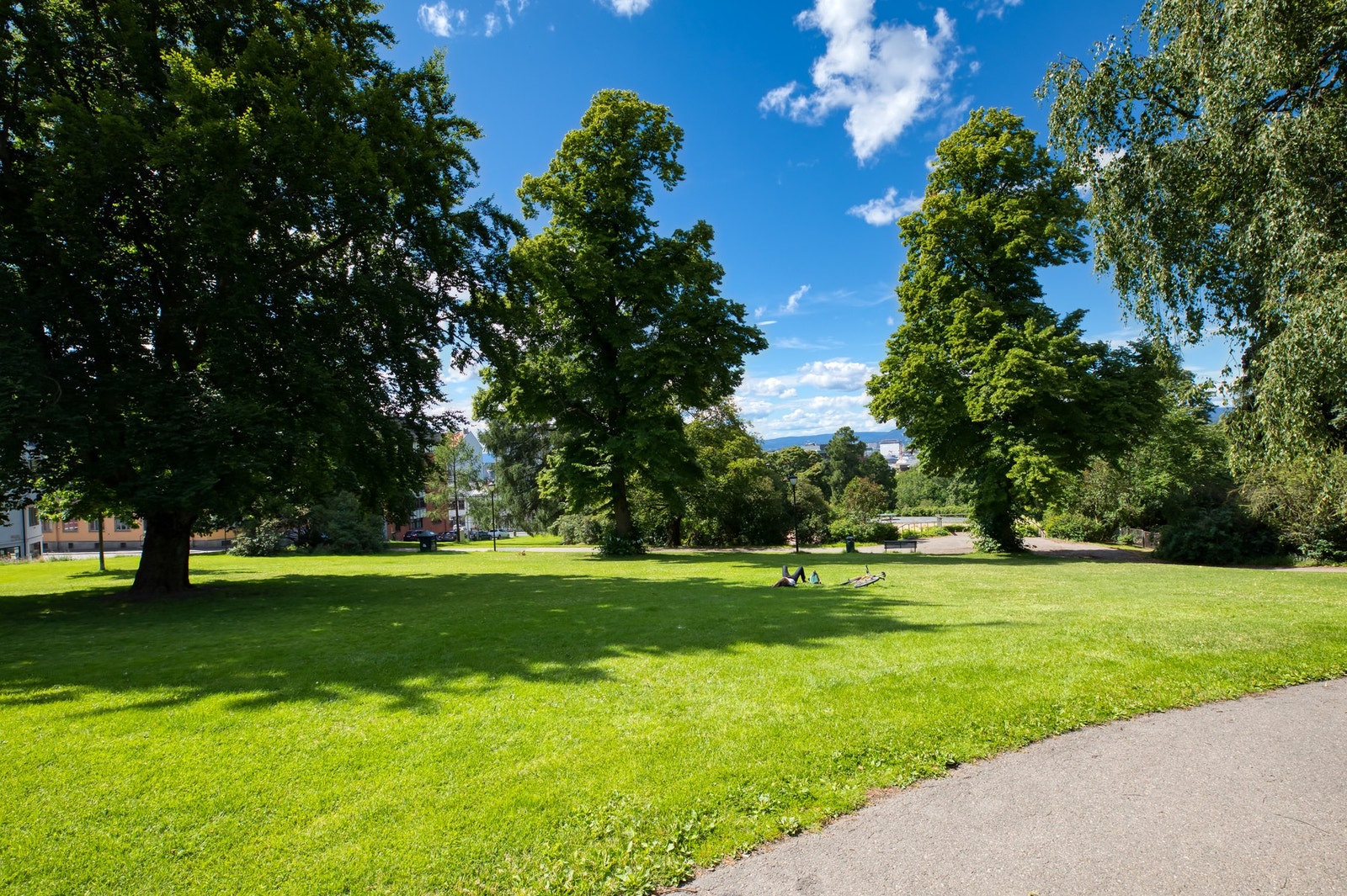 Store gressflater og frodige omgivelser gjør Kampen park til et perfekt sted for avslapning og uteliv. Galleribilde