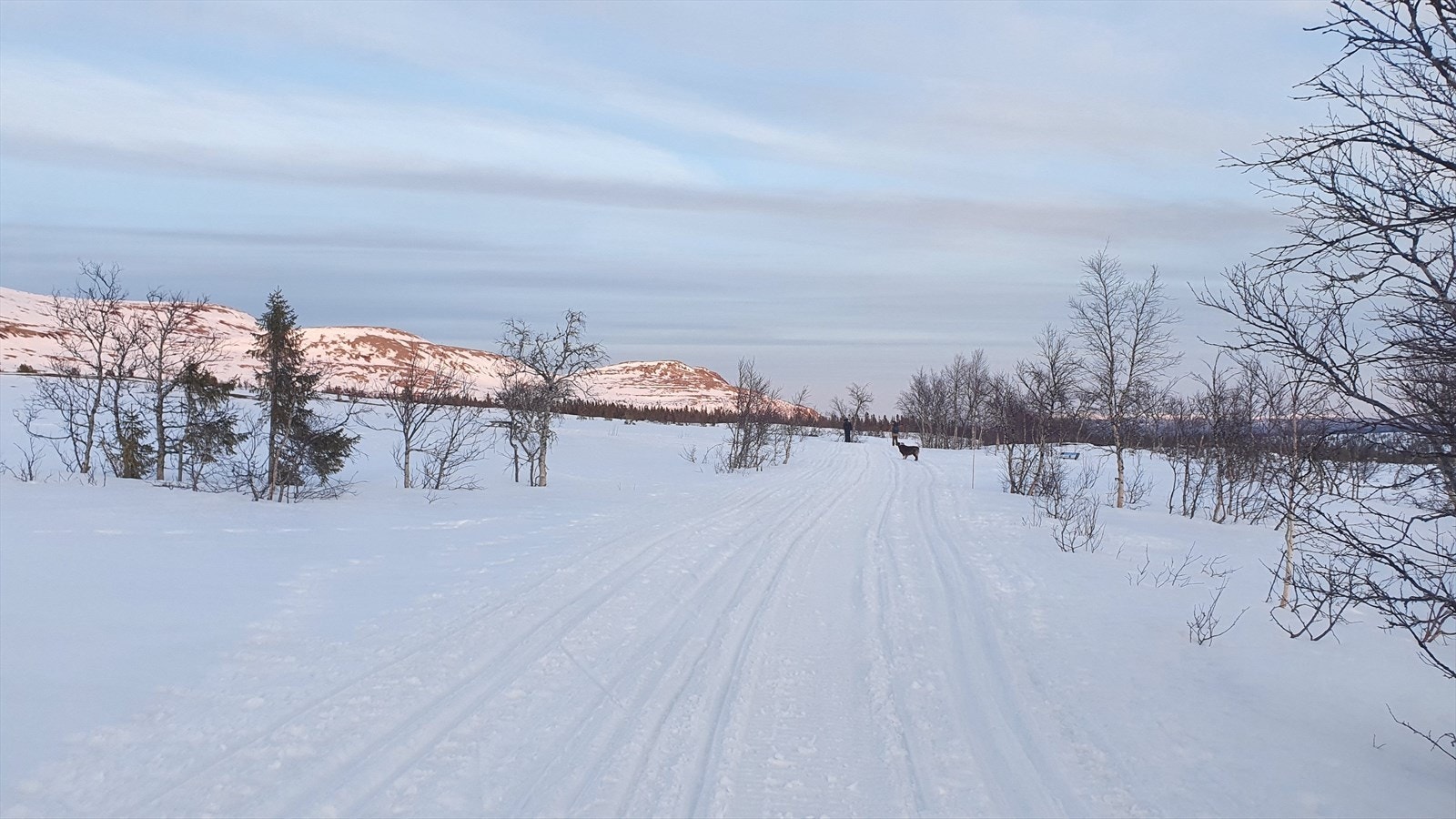 Nydelige områder både vinter og sommer. Selgers' eget bilde. Galleribilde