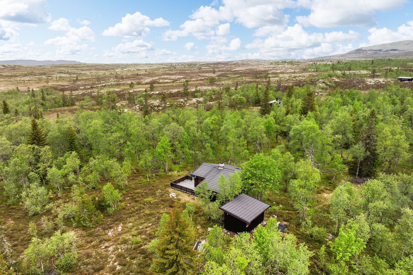 Området byr på snaufjell, vann og skogsterreng i flere retninger. Galleribilde