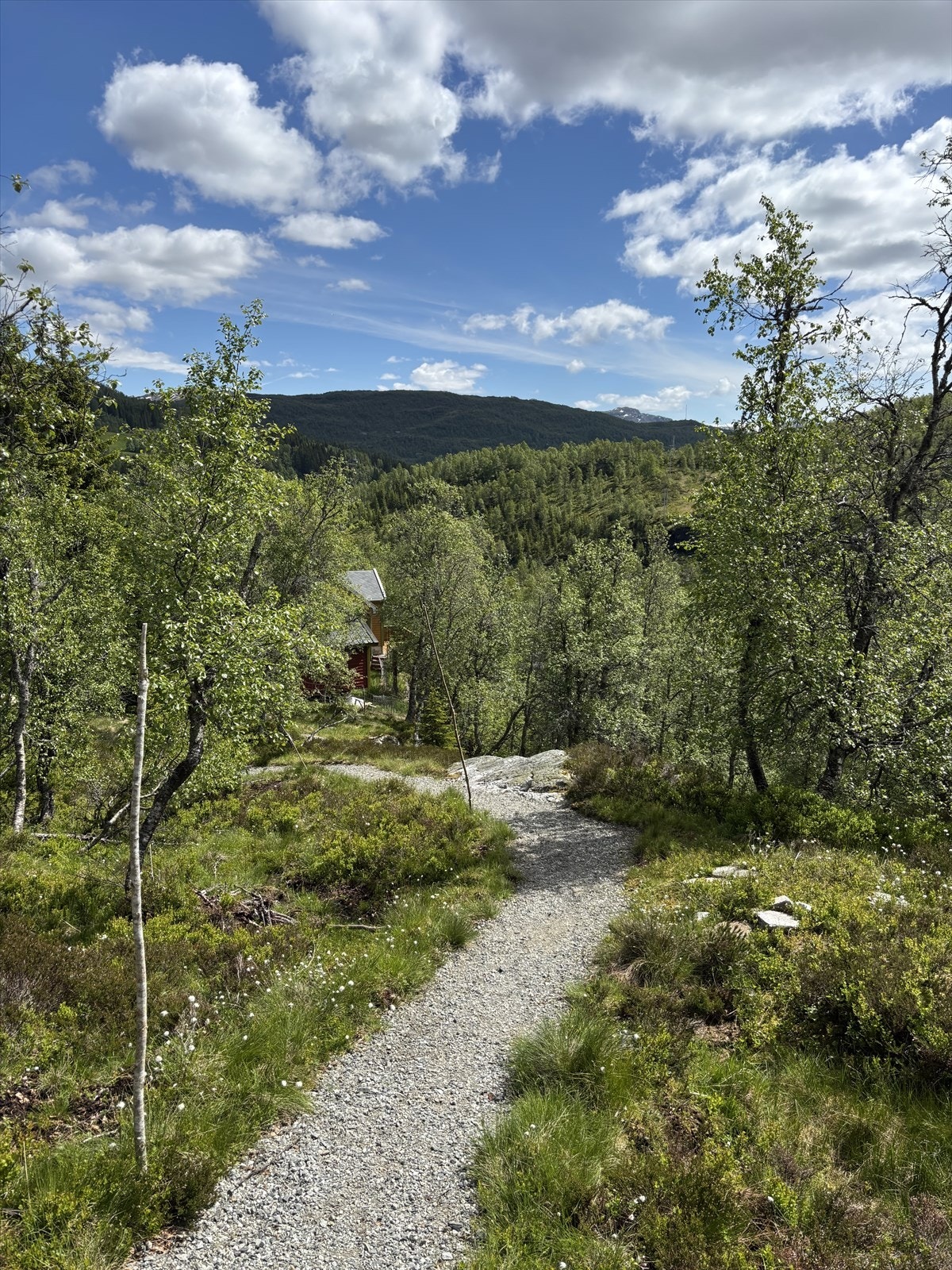 Gruset sti ned mot hovedvei. Galleribilde