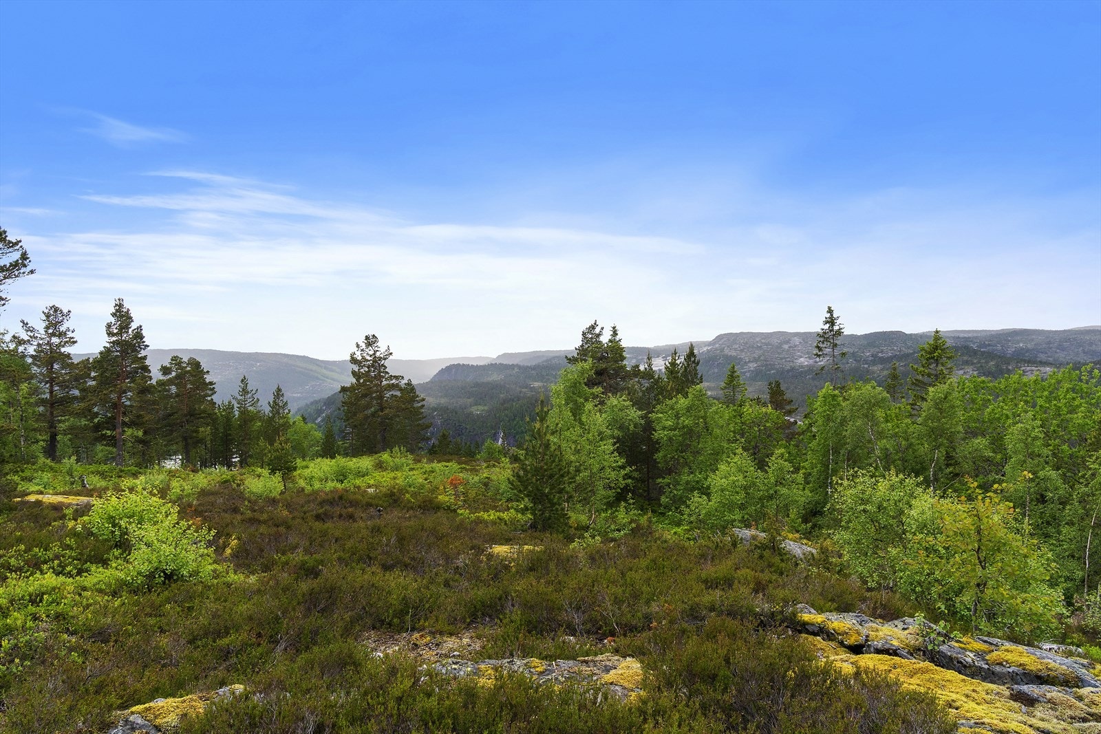 Dette er en helårsdestinasjon med flotte turmulighter både sommer og vinter. Galleribilde