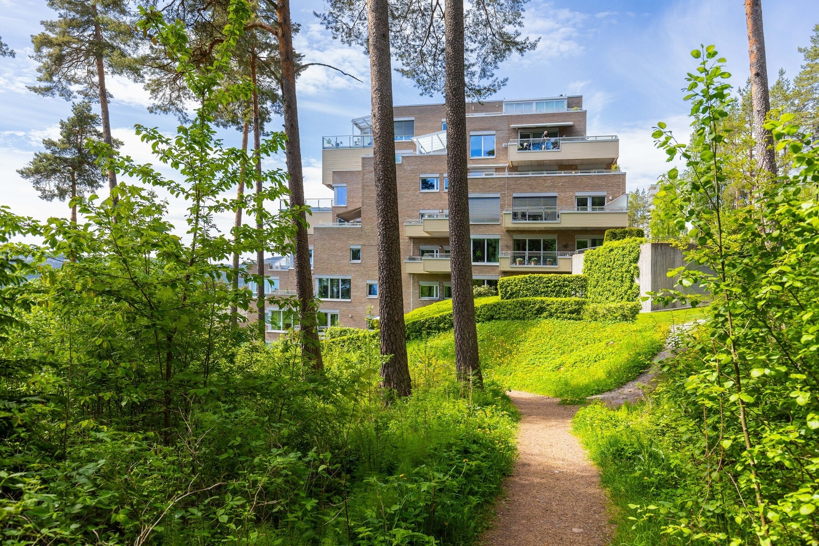 Det er tursti rett utenfor døren. Galleribilde