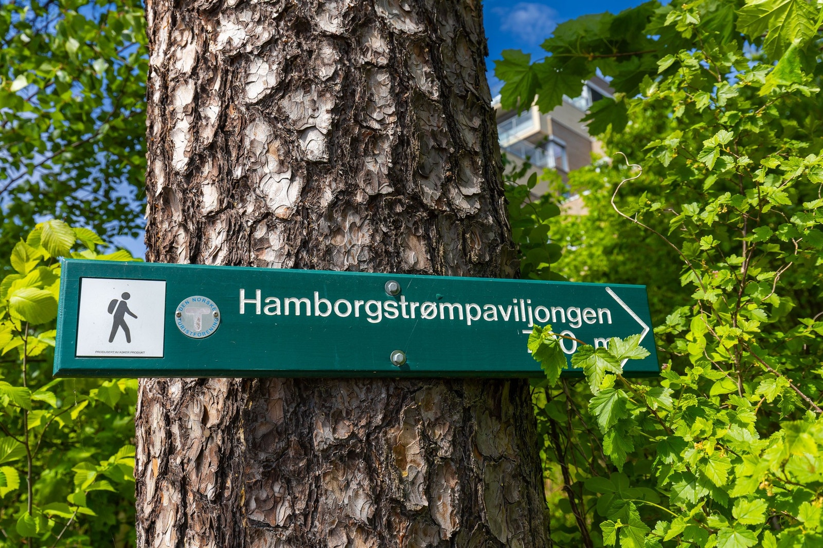 Fra leiligheten er det kort vei til Åspavilijongen og Spiralen - to populære turmål. Galleribilde