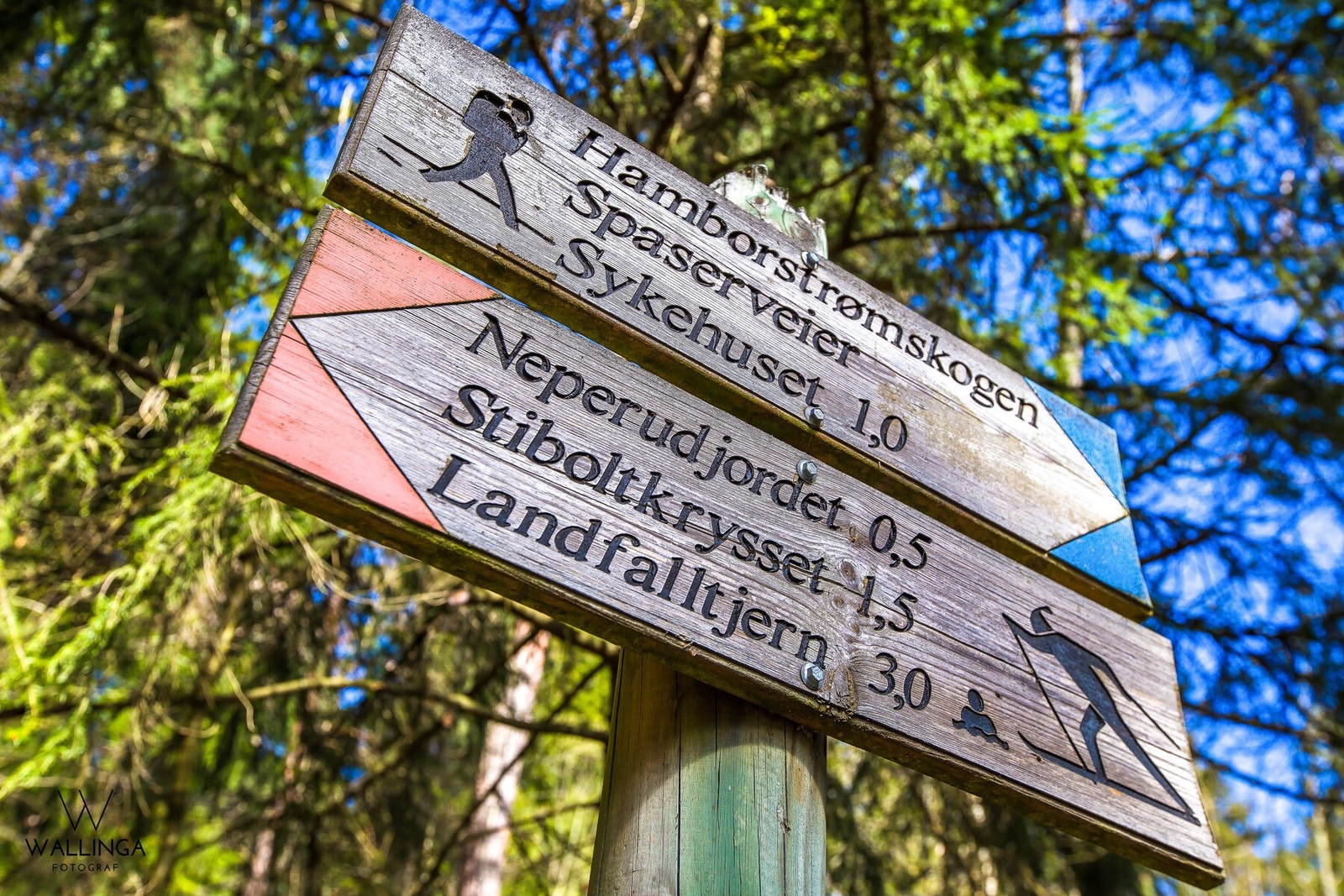 Her kan man gå flere fine turstier. Galleribilde