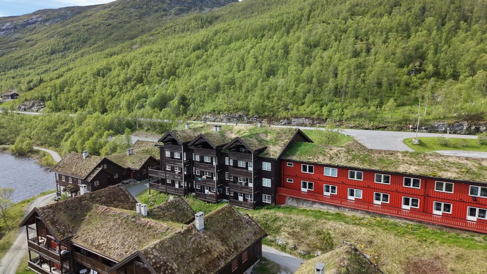 Drone. Galleribilde
