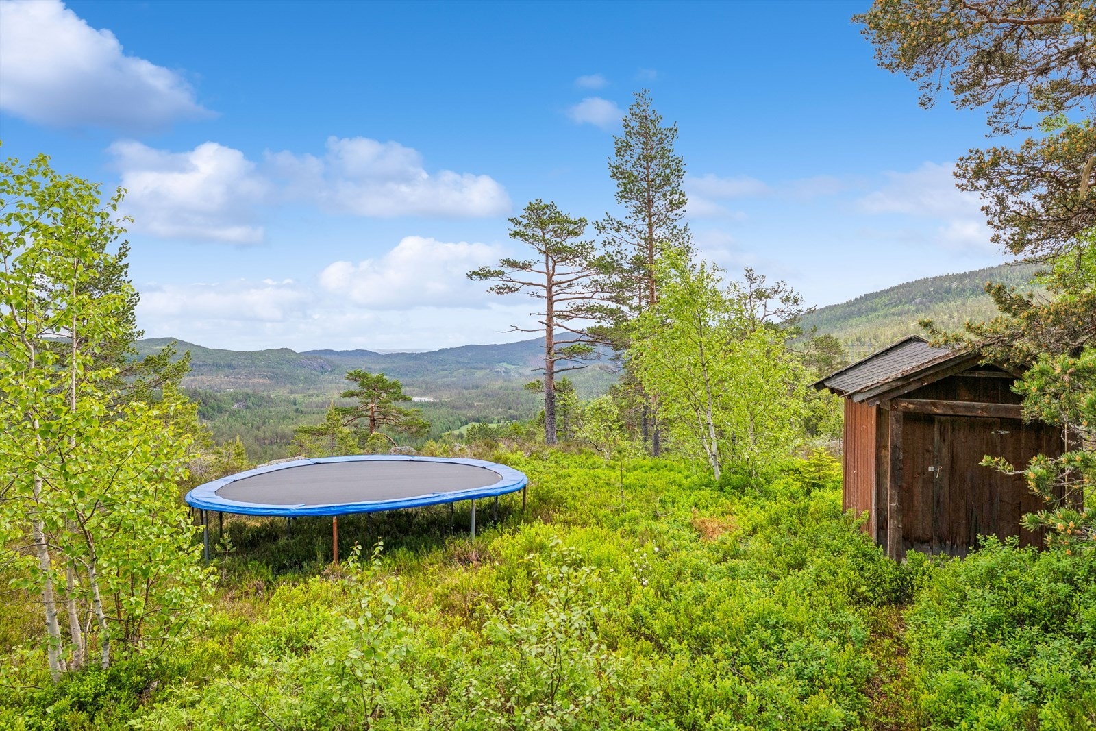Festetomten er en naturtomt med fjell, stein og stedegen vegetasjon. Galleribilde