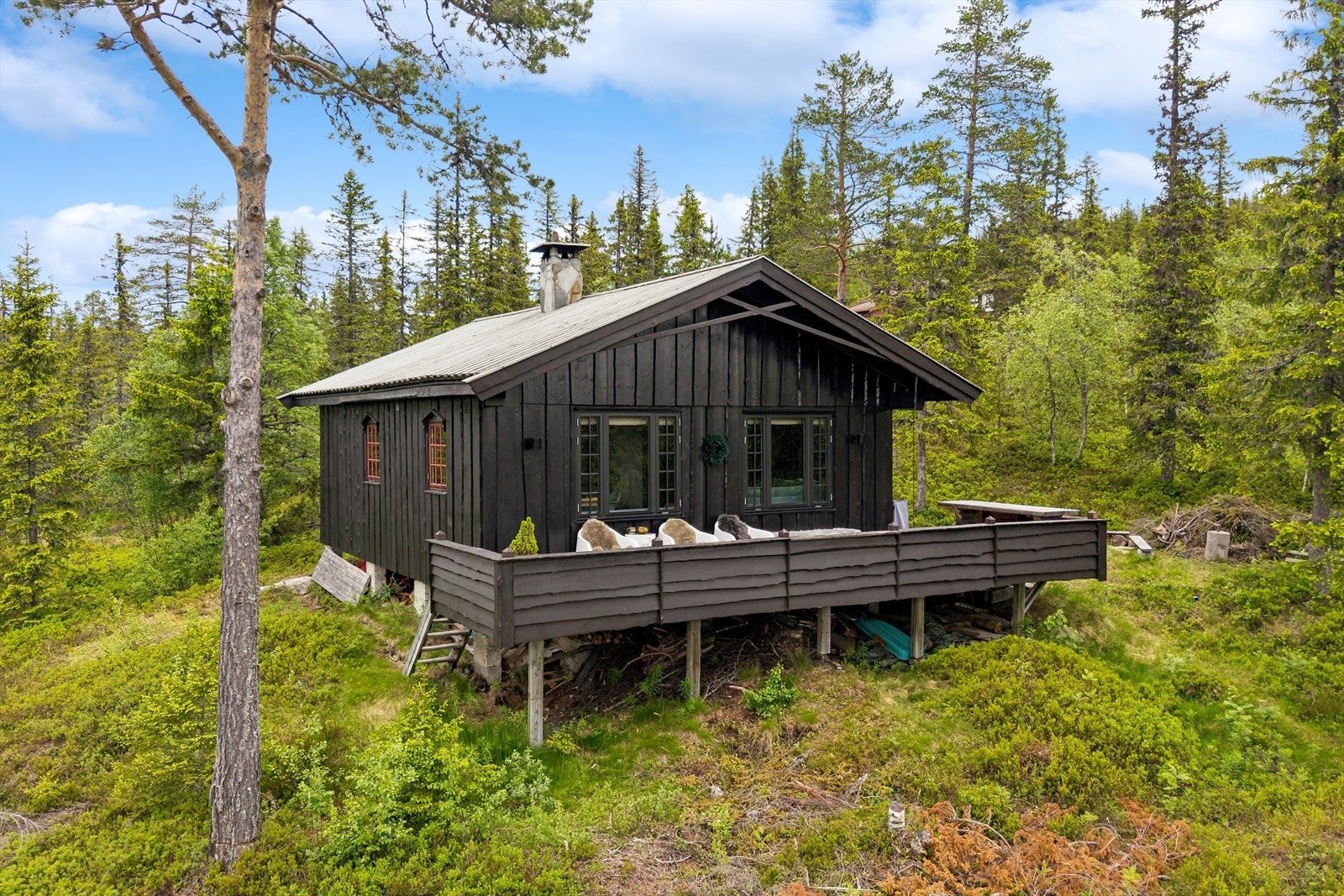 Beliggenheten byr på en lun og naturnær ramme, omgitt av fjellbjørk, furu og variert vegetasjon som skaper en rolig og skjermet atmosfære. Galleribilde