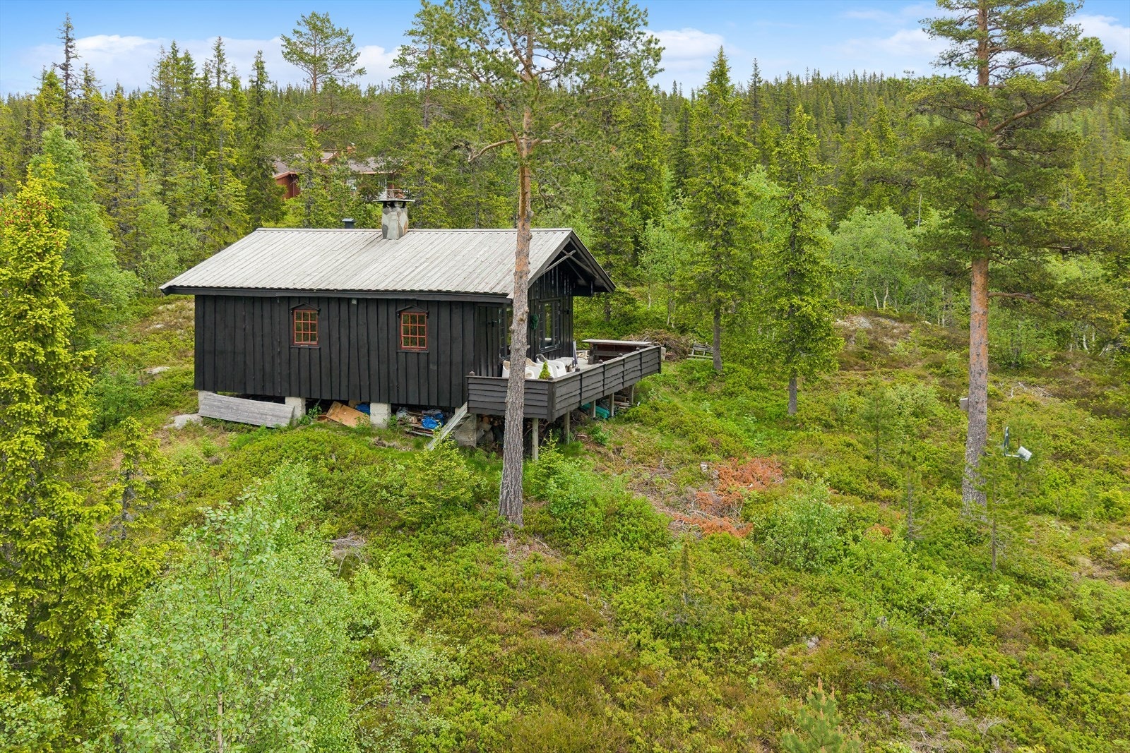 Eiendommen har en usjenert og attraktiv beliggenhet i et naturskjønt hytteområde i Hjartdal. Adkomst skjer til fots via de siste ca. 50 meterne fra oppstillingsplass. Galleribilde