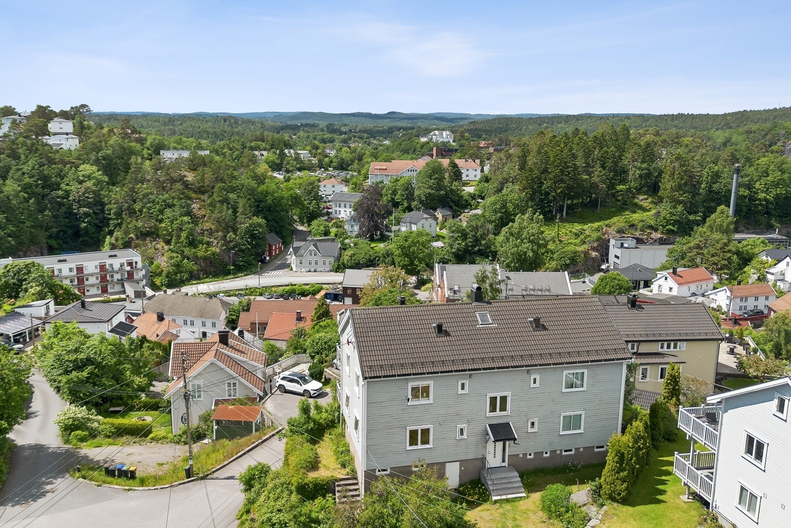 Felles inngangsparti. Galleribilde