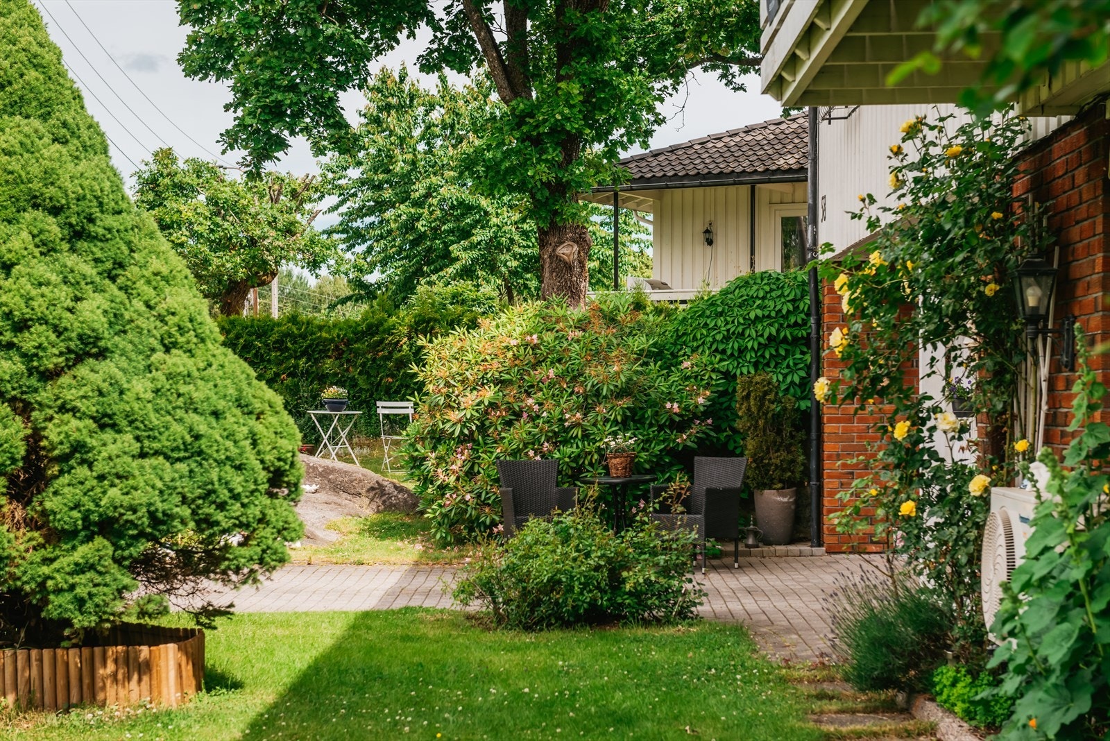 Dette er en frodig tomt med grønne busker og planter på alle sider av huset Galleribilde