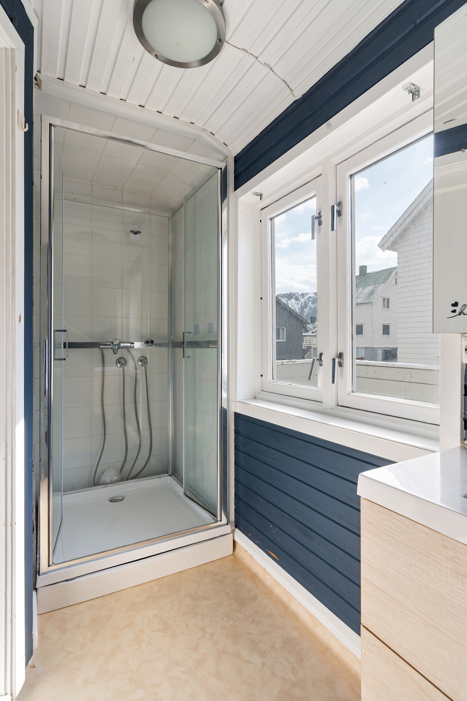 Badet er utstyrt med dusjkabinett.
