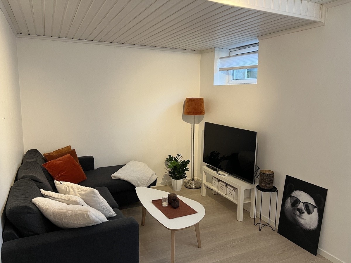 Stue Galleribilde