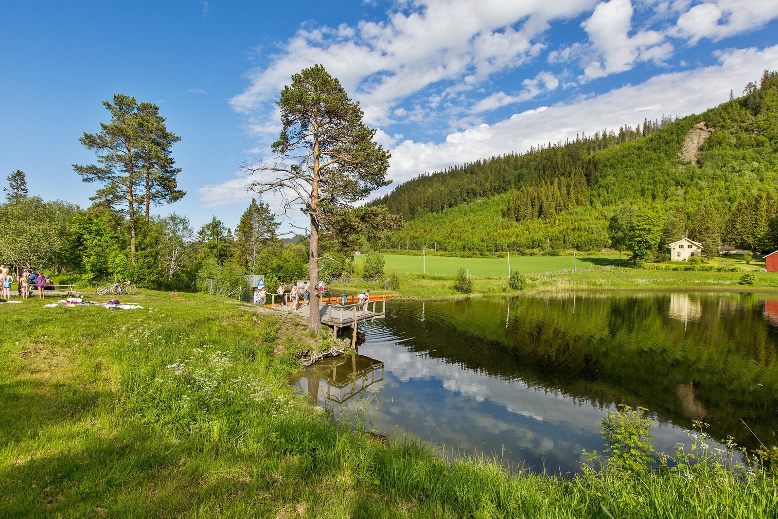 Det er også gangavstand til Nydammen, som er et populært badested på sommerstid. Galleribilde