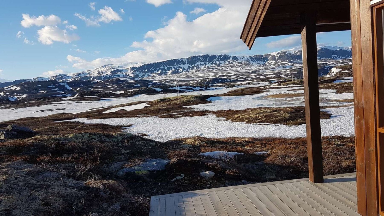 Selgers eget bilde Galleribilde