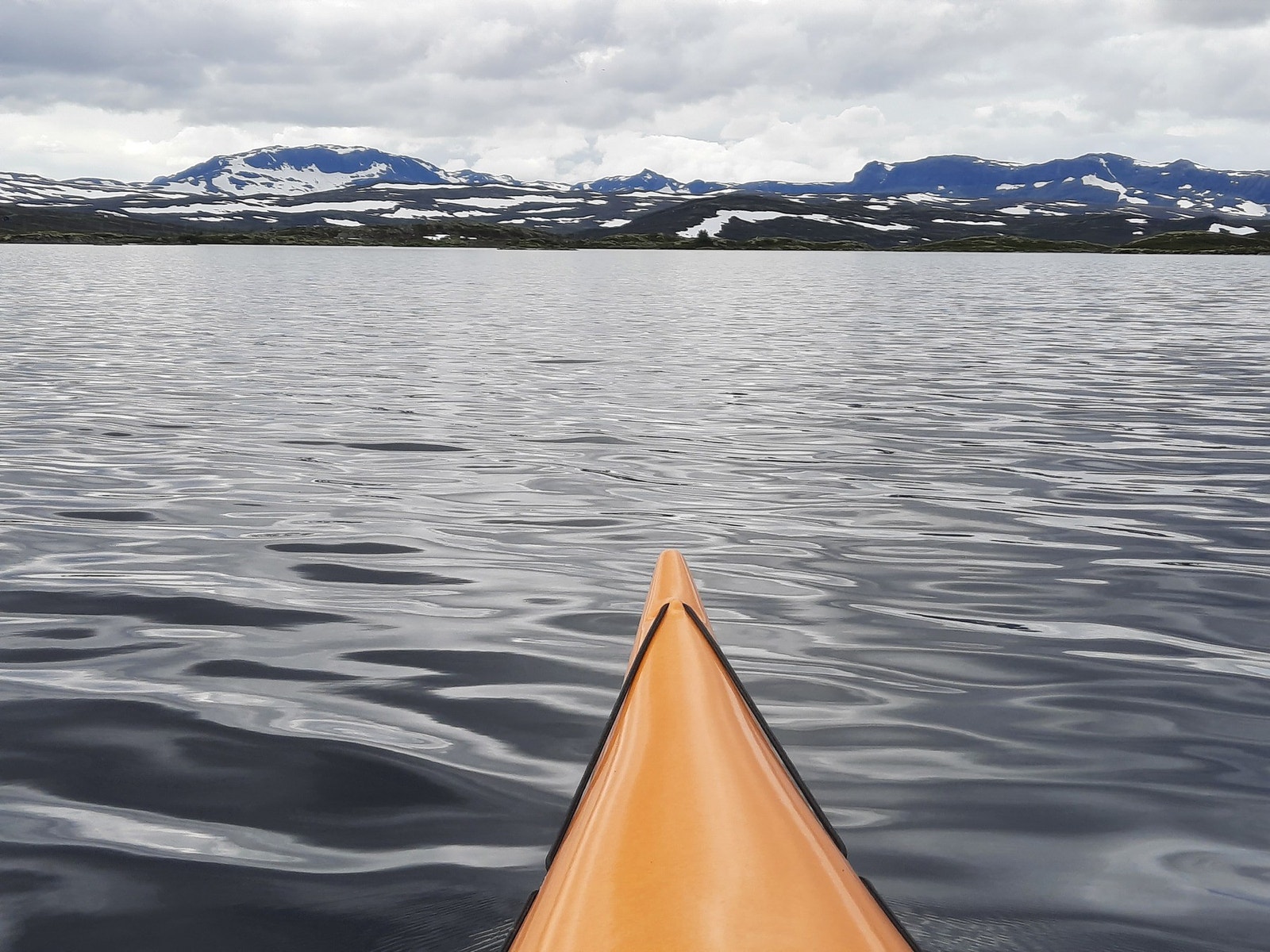 Selgers eget bilde Galleribilde