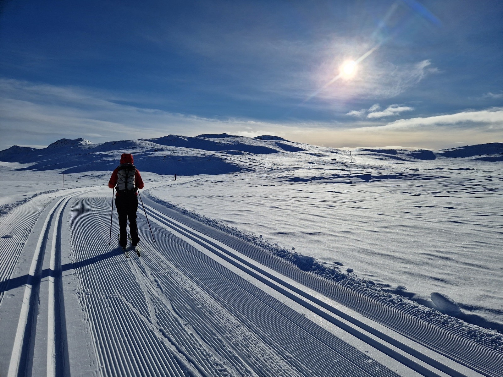 Selgers eget bilde Galleribilde