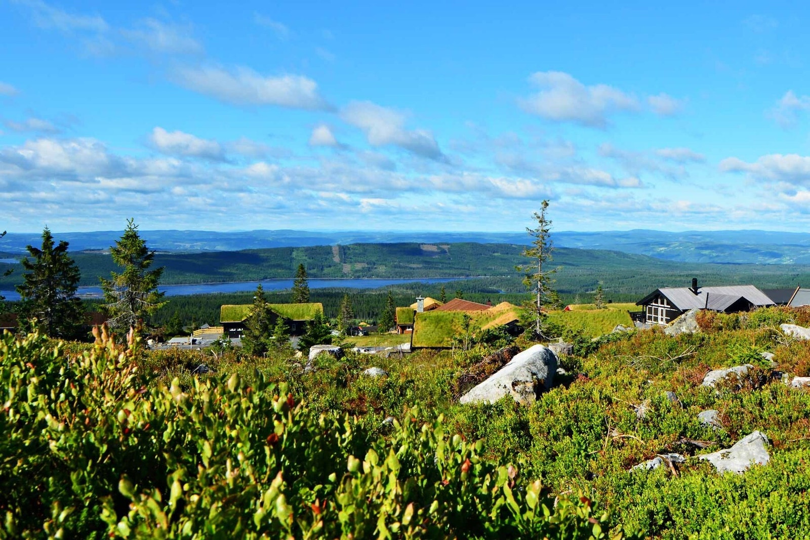 Foto fra tomteområdet Galleribilde