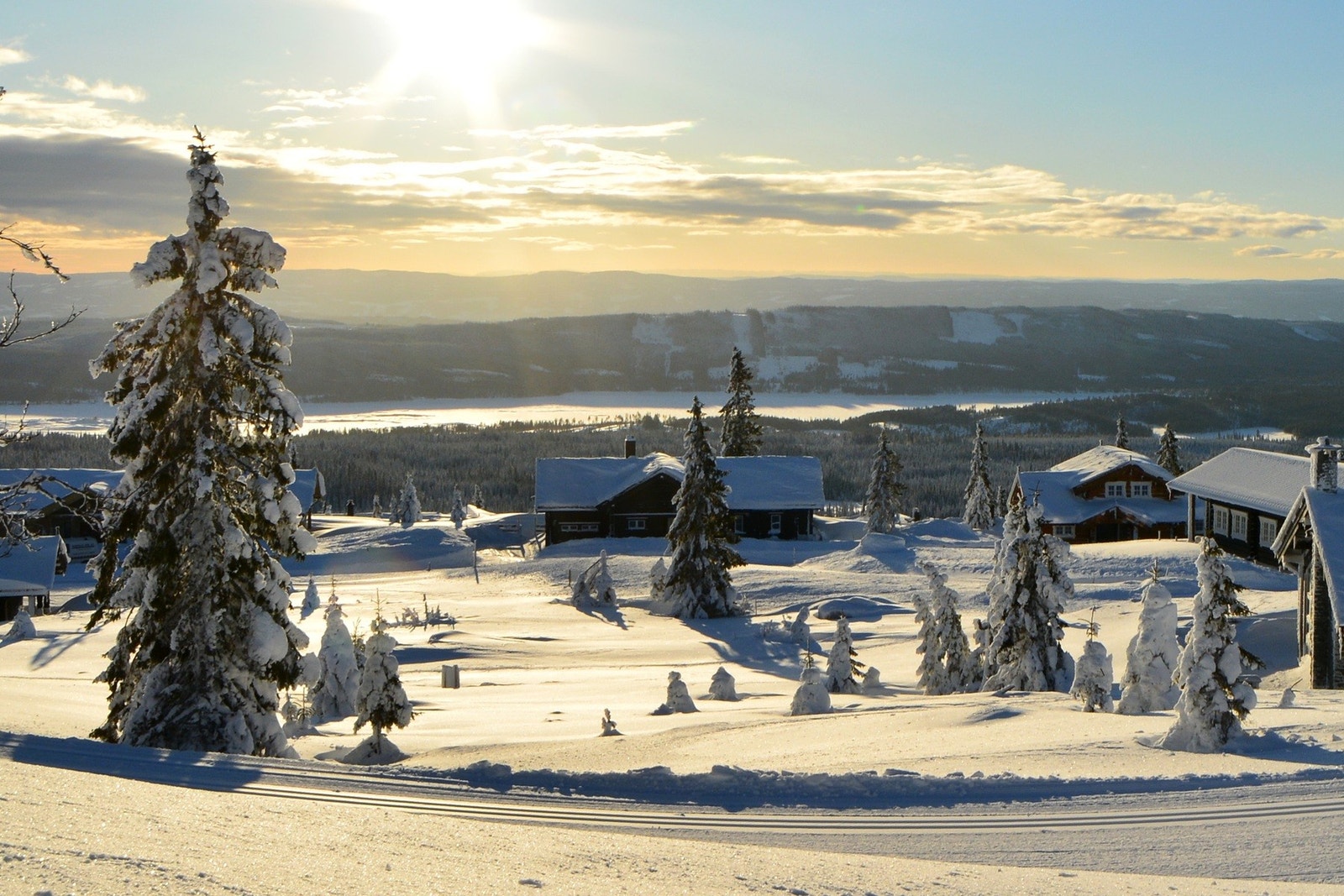 Foto fra tomteområdet Galleribilde