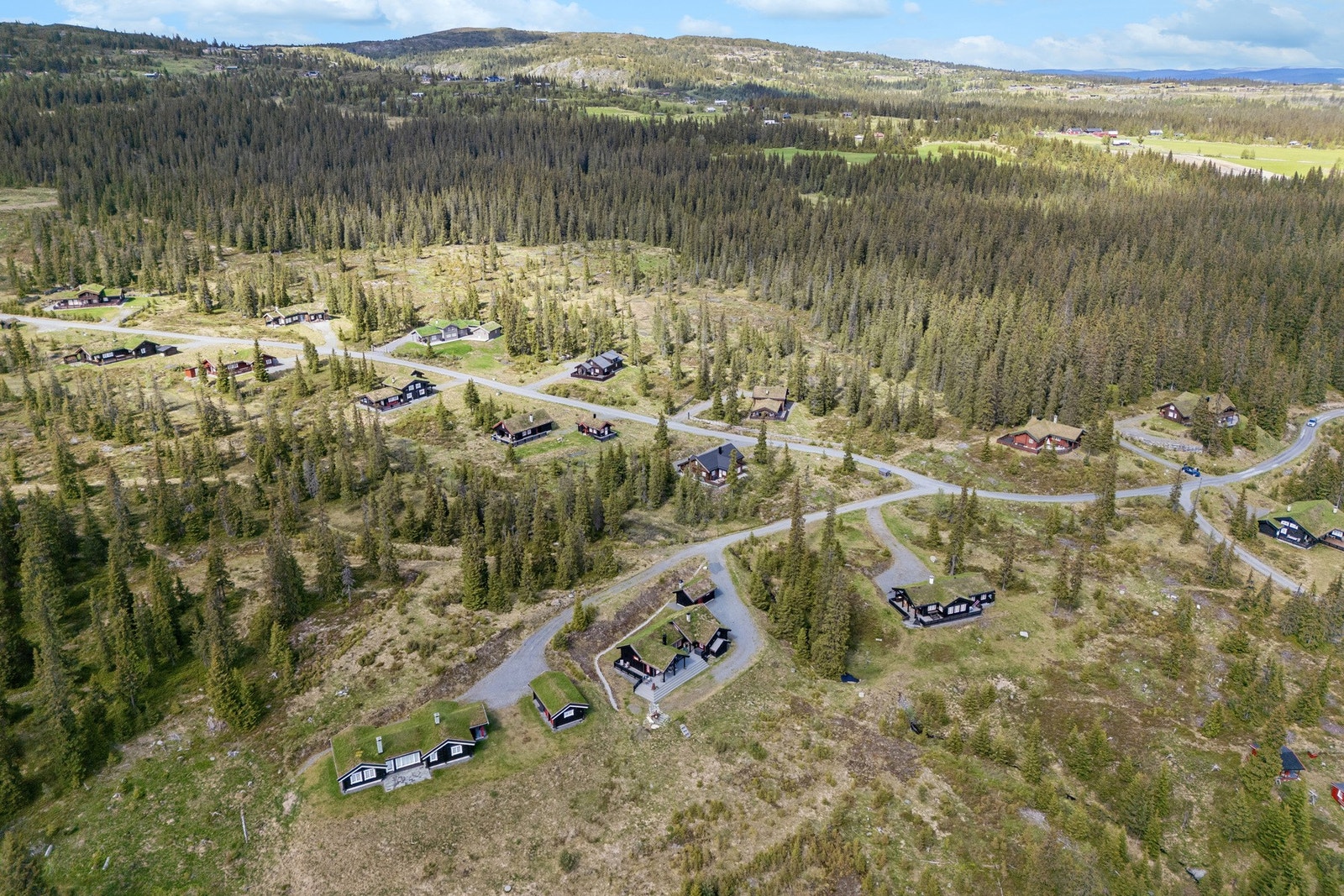 Velkommen til visning Galleribilde