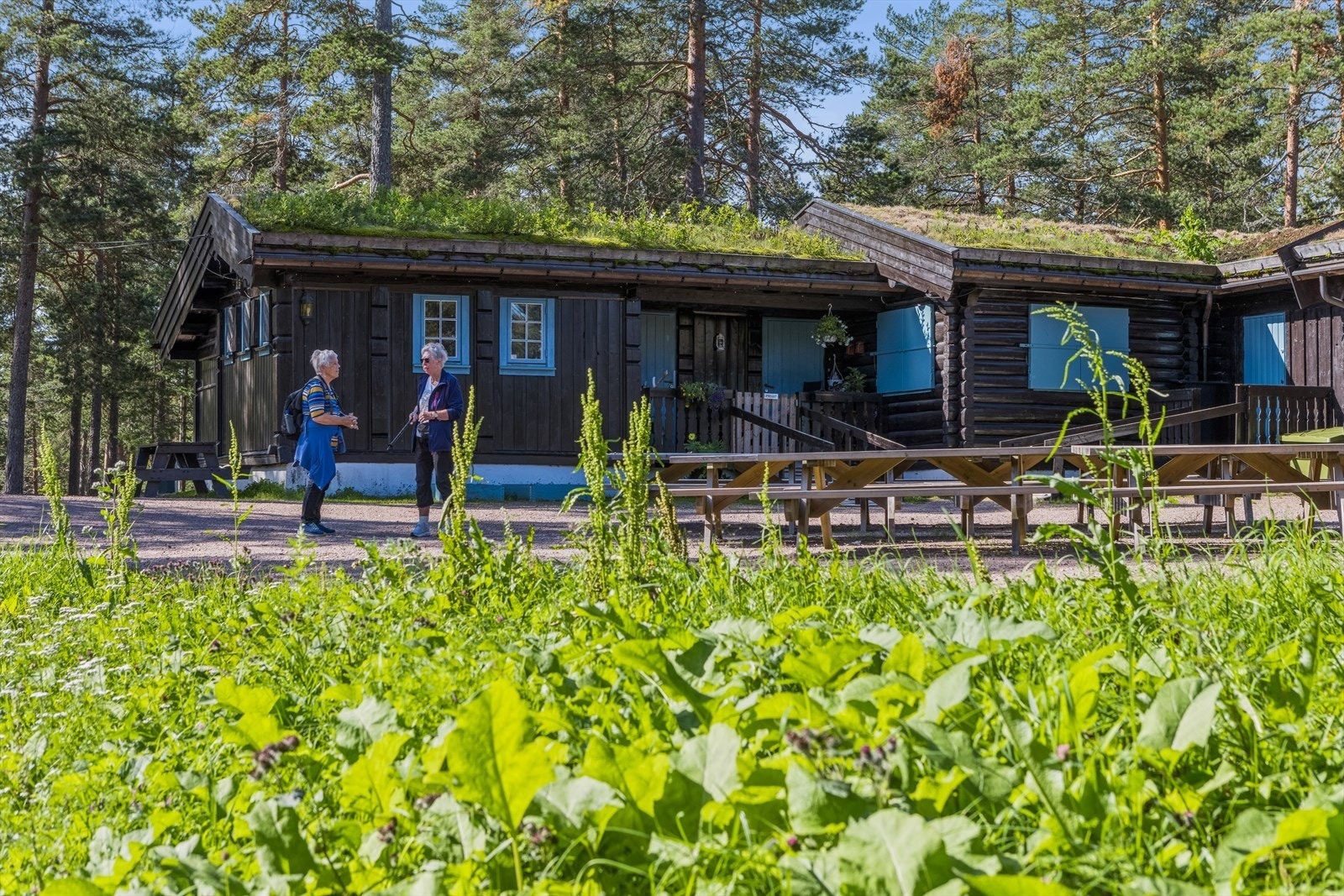Her bor du i et stille og rolig bomiljø med kort vei til T-banen på Vestli. Galleribilde