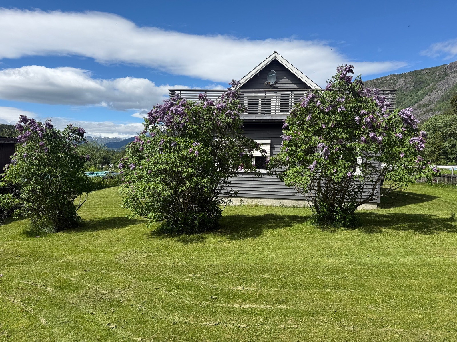Velkommen til vakre Hemsedal! Galleribilde