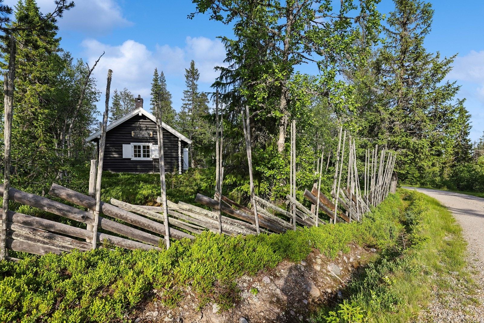 Livasætra ligger fint til ved veien, med tradisjonell skigard og skog rundt tunet. Galleribilde