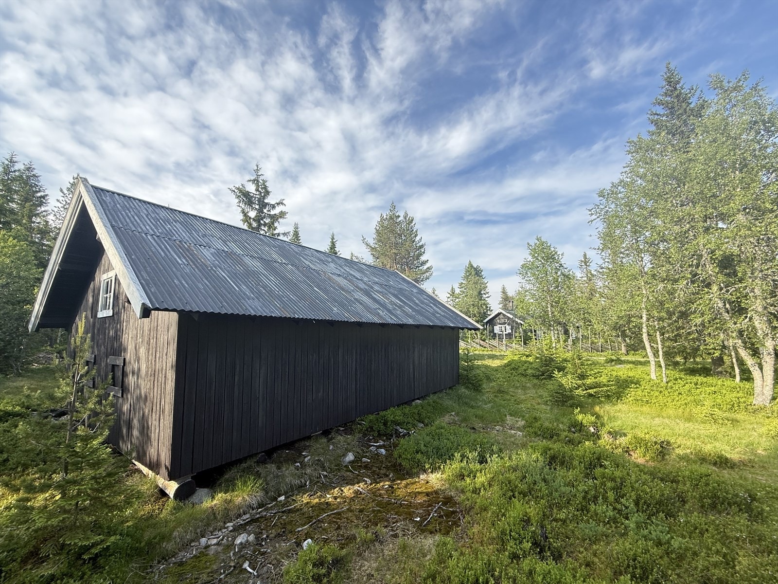 Tradisjonell låve med saltak og trekledning, fint innrammet av skog og fjellvegetasjon. Galleribilde