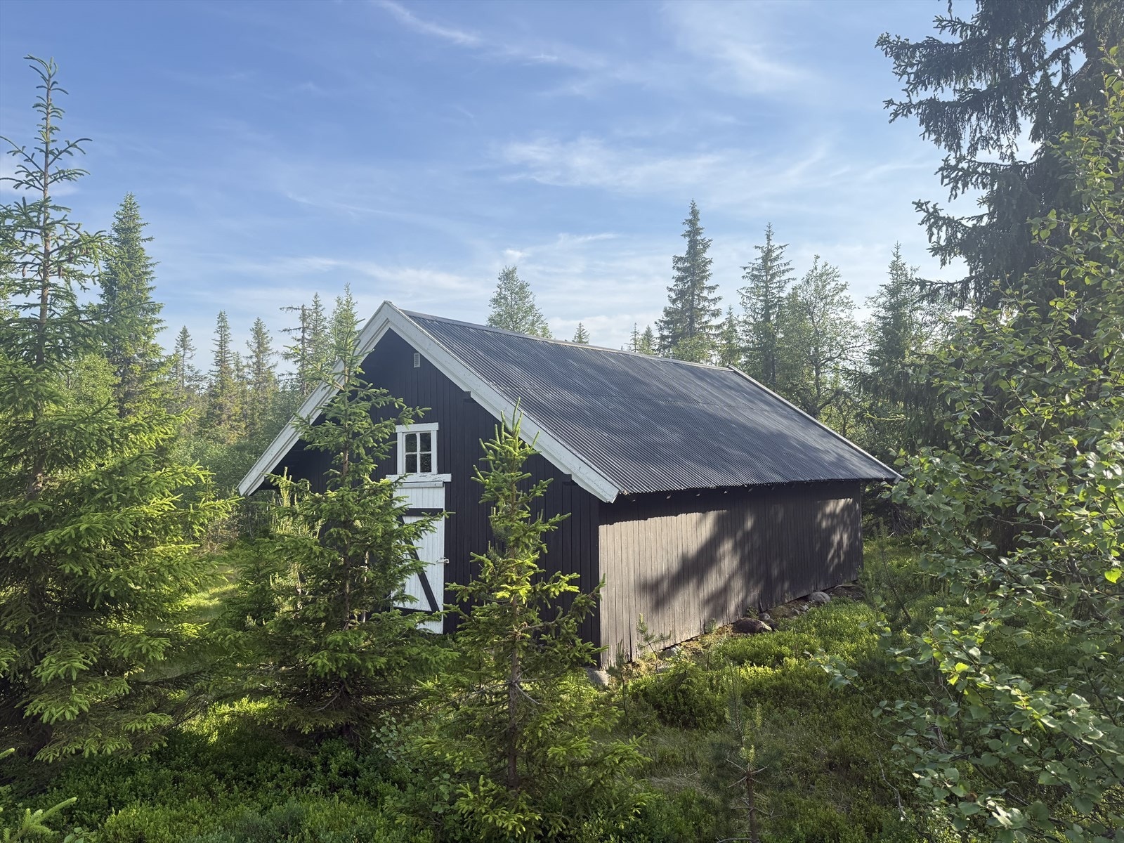 Frittstående låve med god lagringsplass, omgitt av blåbærlyng, bjørk og granskog Galleribilde