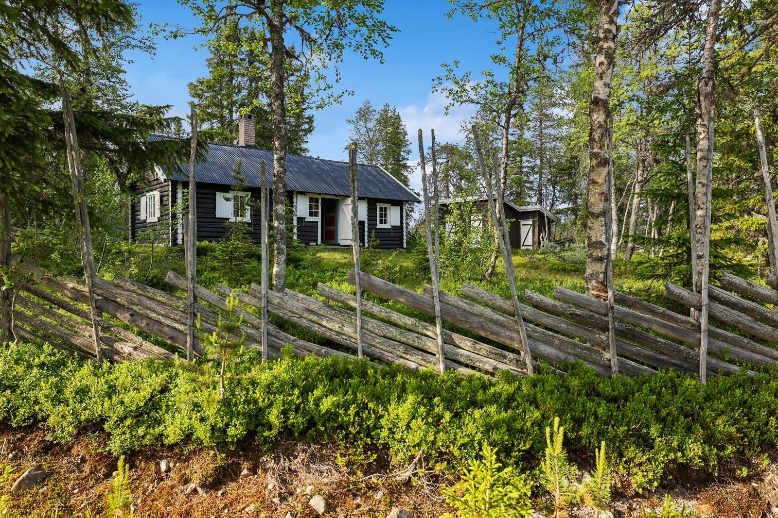 Hytta sett fra tunet, med skigard og skog som rammer inn eiendommen. Galleribilde