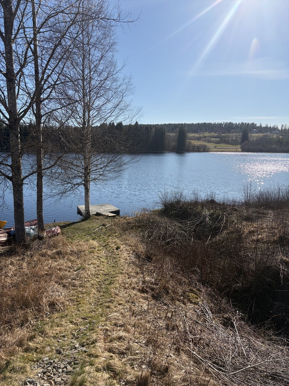 Badeplass med brygge rett nedenfor eiendommen. Galleribilde