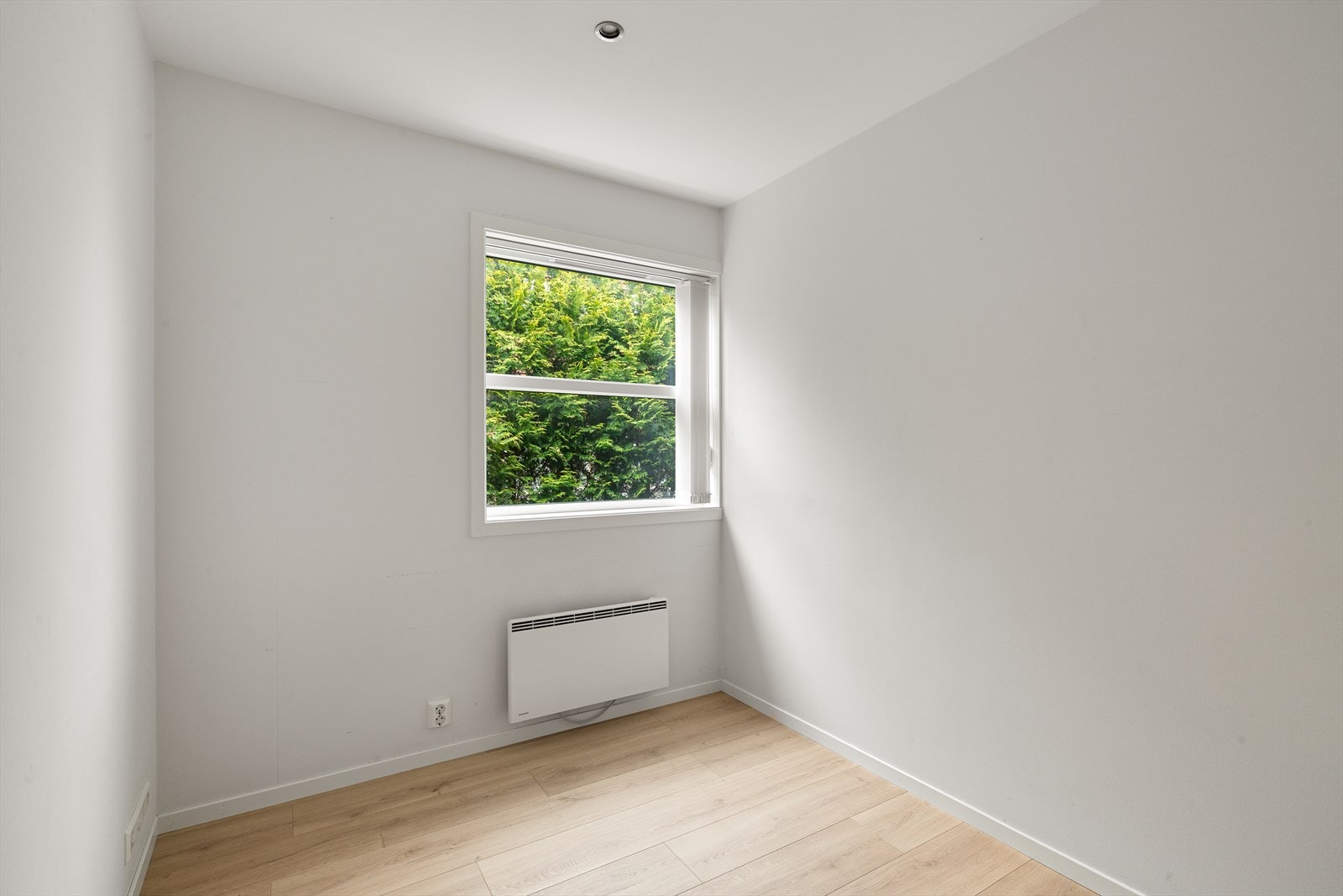 Kontor. Galleribilde