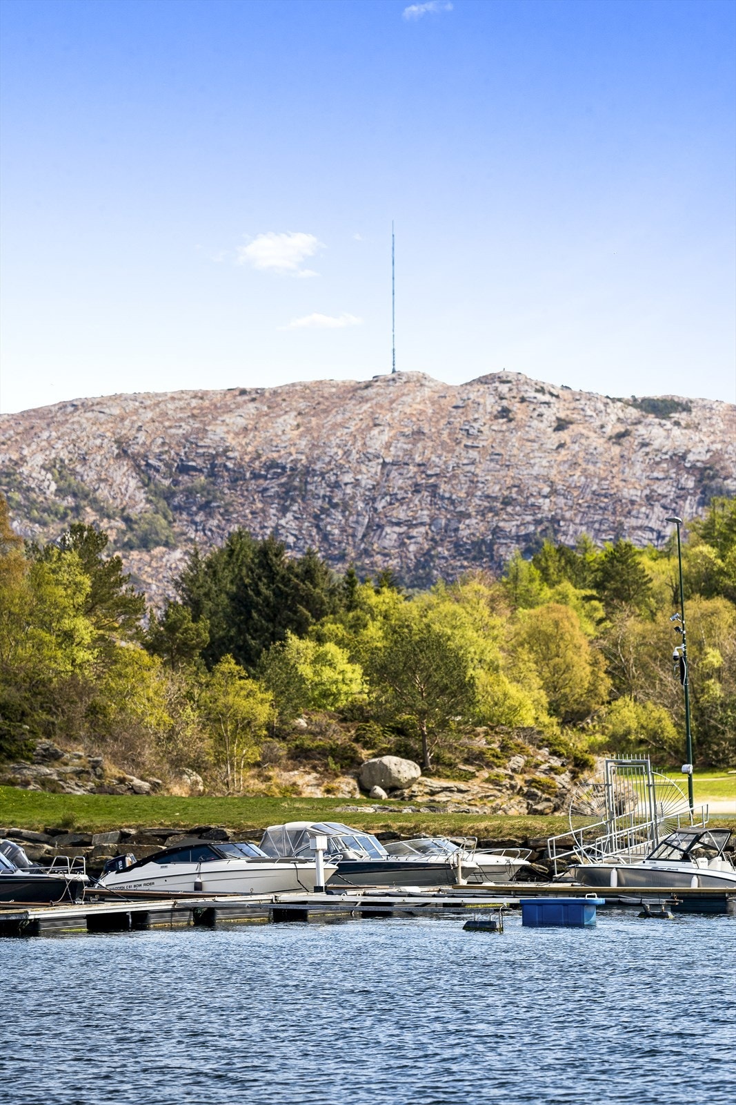 Nærområde. Galleribilde