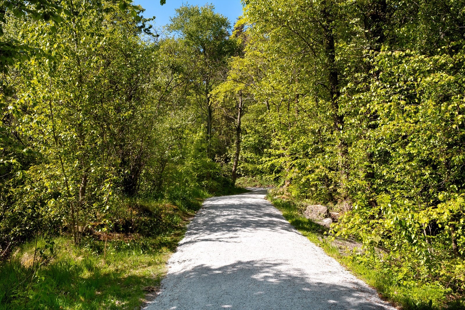 Nærområde. Galleribilde