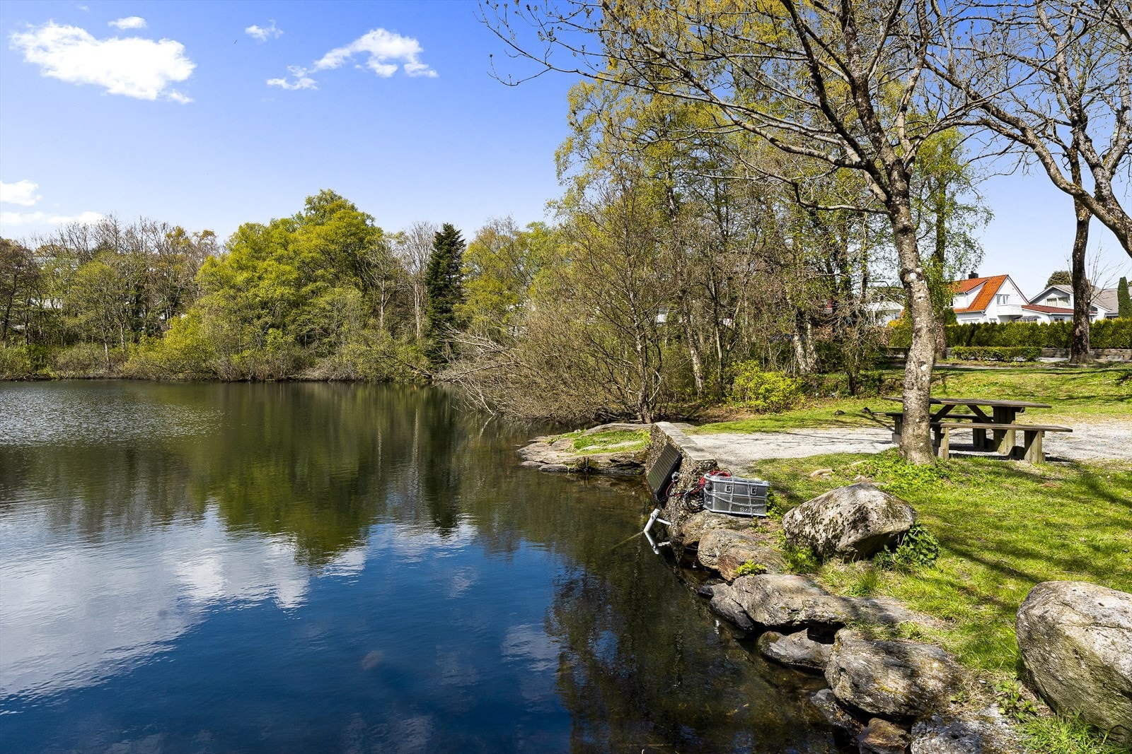 Nærområde. Galleribilde