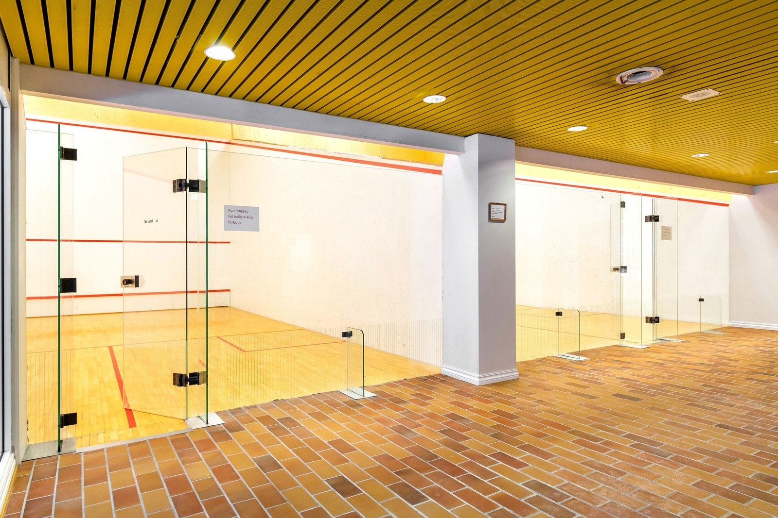 2 squash baner Galleribilde
