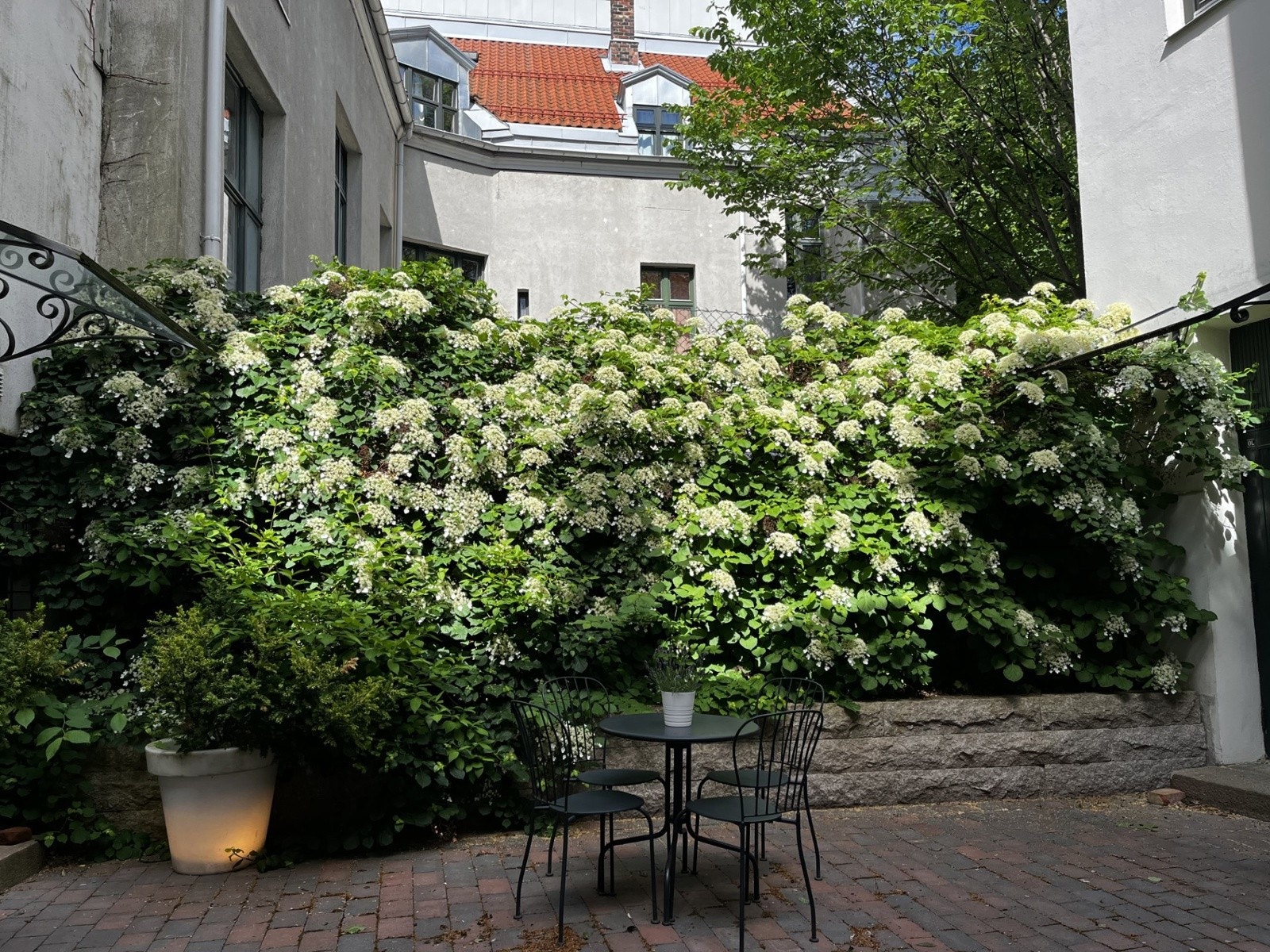 Hyggelig bakgård med sittegruppe - sykkelpakering i bakgård Galleribilde