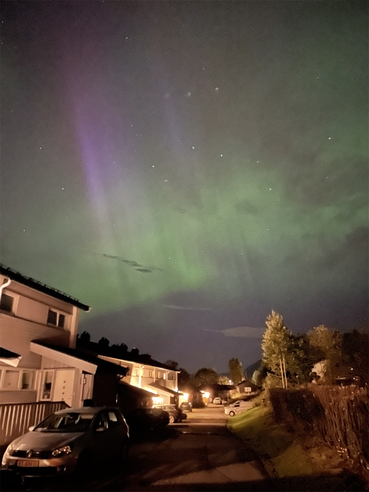 Selgers foto - Nordlys Galleribilde